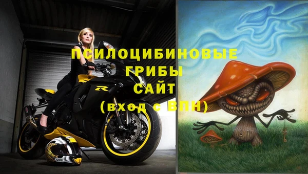 прущие крисы Аркадак