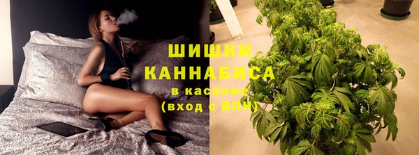меф Арсеньев