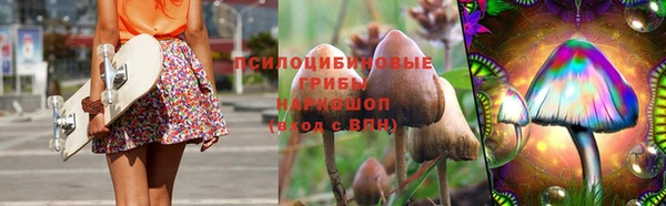 гидропоника Яранск