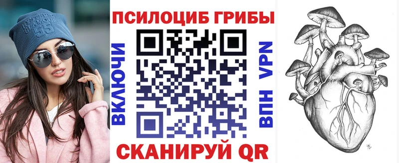 дарк нет клад  Артёмовский  Галлюциногенные грибы GOLDEN TEACHER 